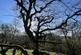 Vron Wood, Bettws-y-Crwyn, Beguildy LD7 photo 2