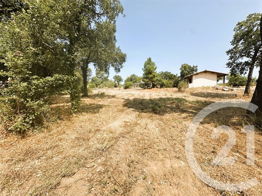 Additional image 19 of Cogolin (Var)