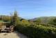 Additional image 12 of Pine Close, Ilfracombe, North Devon, EX34