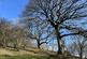 Vron Wood, Bettws-y-Crwyn, Beguildy LD7 photo 4