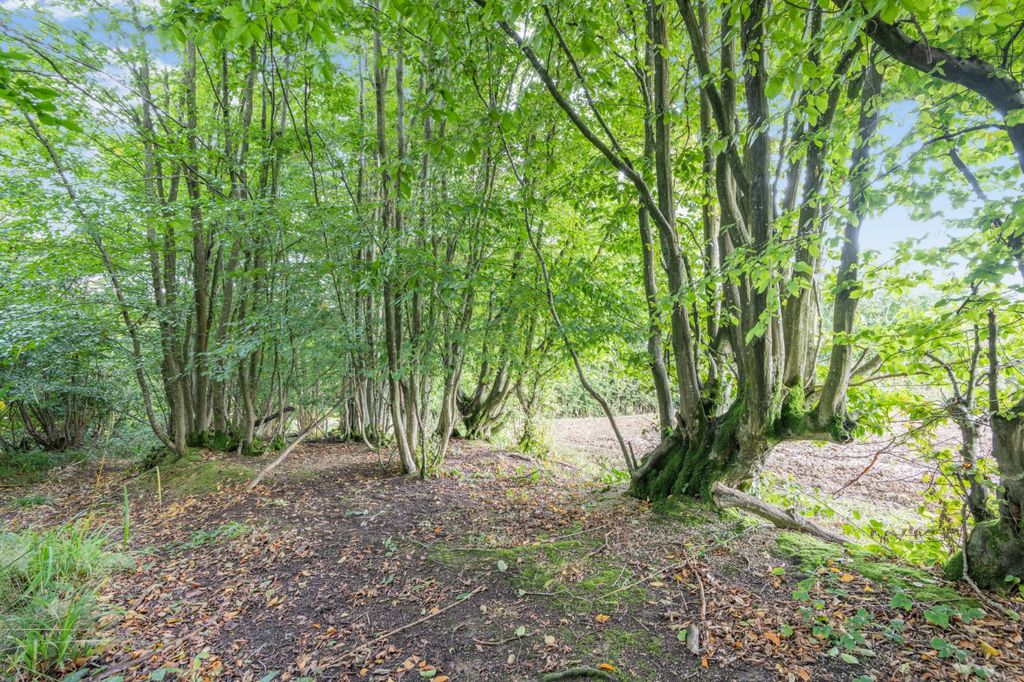 Additional image 11 of Land for saleHinksden Road, Hawkhurst, Cranbrook, Kent TN18