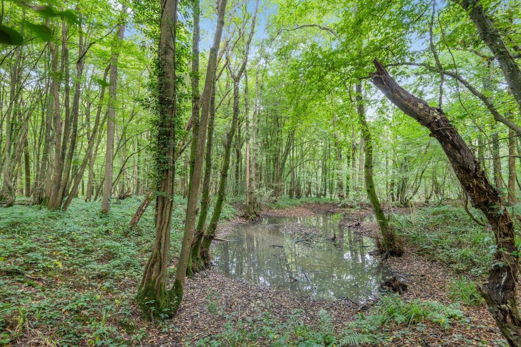Additional image 9 of Land for saleHinksden Road, Hawkhurst, Cranbrook, Kent TN18