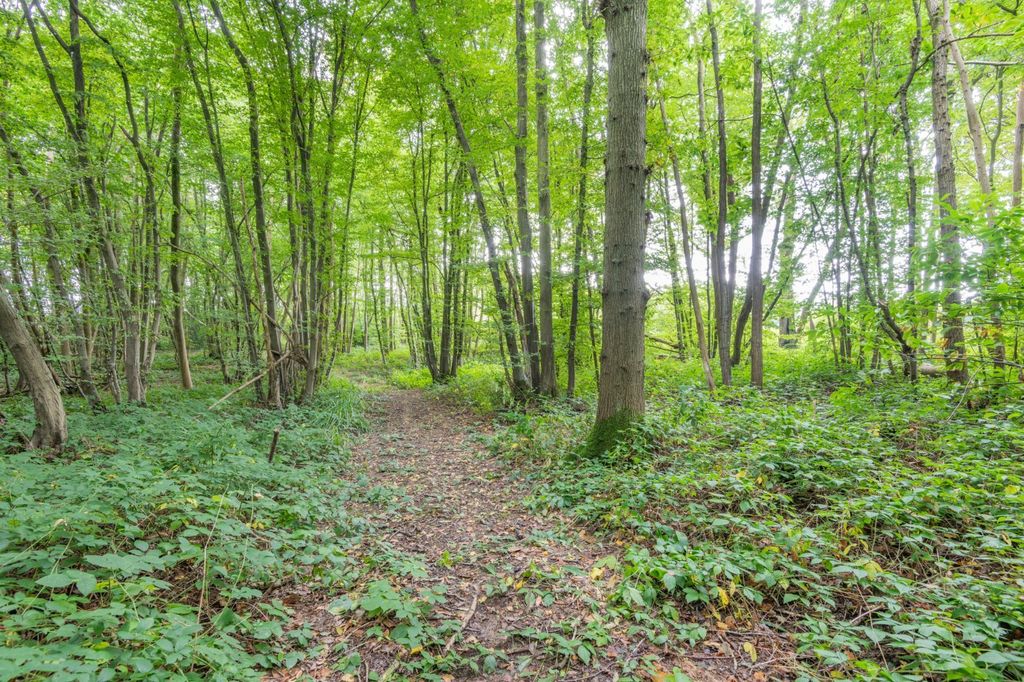 Additional image 4 of Land for saleHinksden Road, Hawkhurst, Cranbrook, Kent TN18