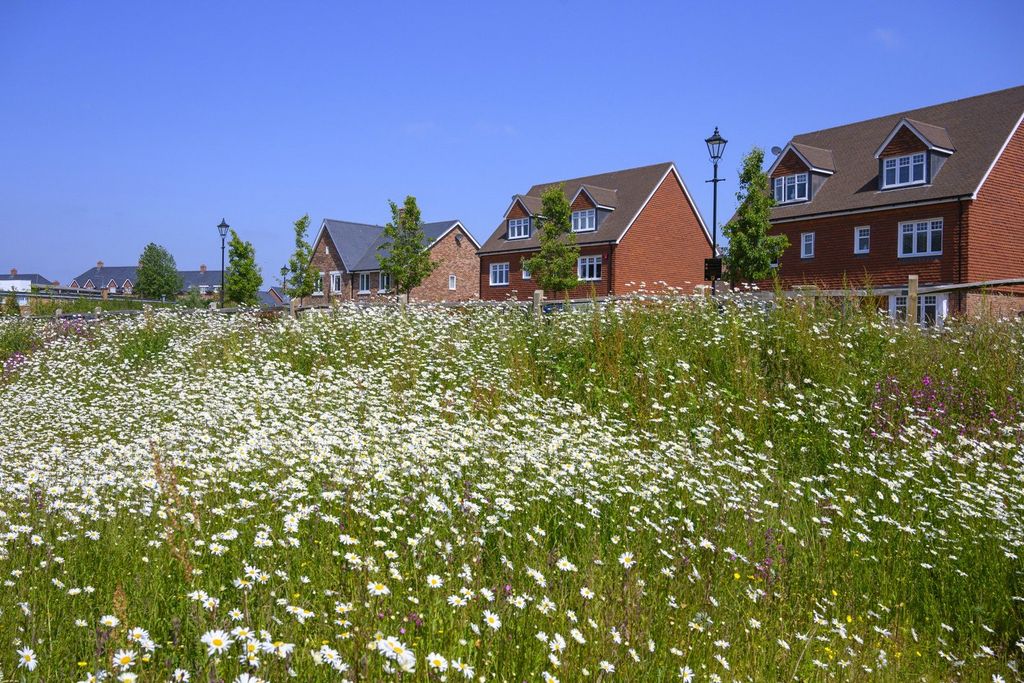 Additional image 25 of 4 bed semi-detached house for saleLeighwood Fields, Cranleigh, Surrey GU6