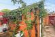 Additional image 11 of Withycombe Road, Exmouth