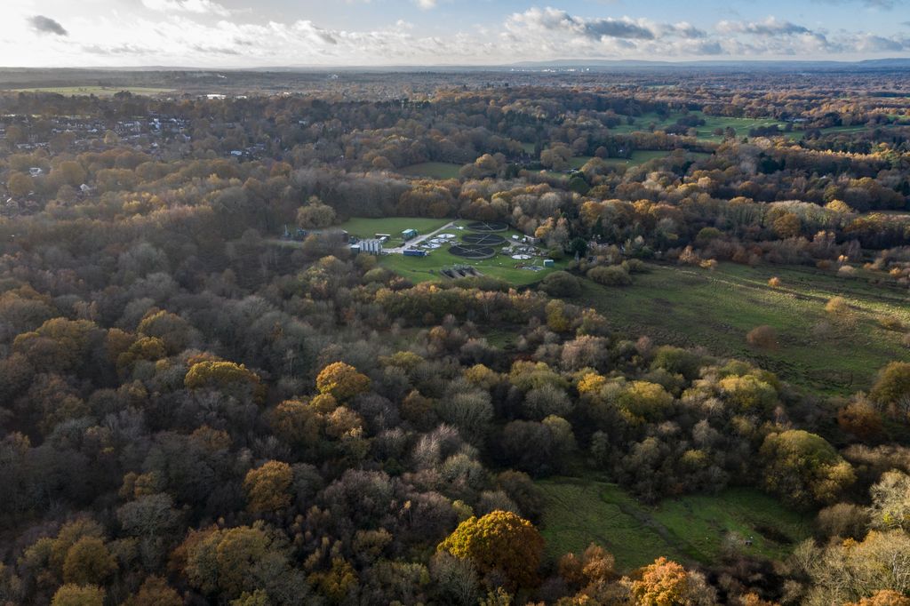 Additional image 6 of Land for saleHackenden Lane, East Grinstead RH19