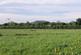 Additional image 31 of Biddisham Lane, Biddisham, Axbridge, Somerset, BS26