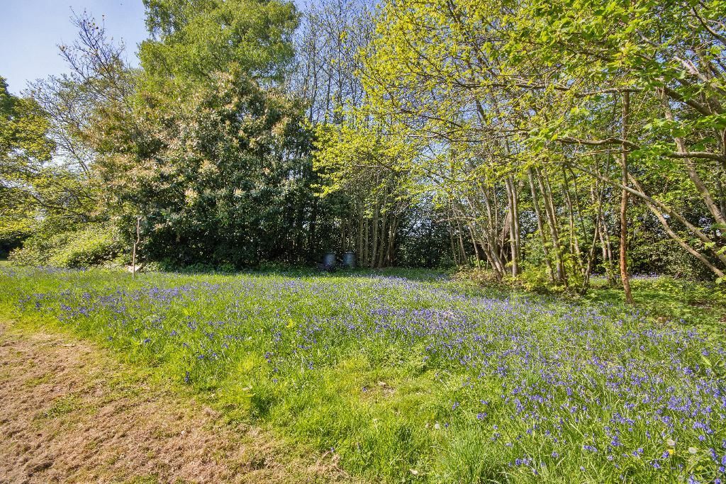 Additional image 22 of 7 bed detached house for saleChalk Lane, Cranbrook, Kent TN17