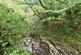 Additional image 19 of The Dingle, Knighton, LD7