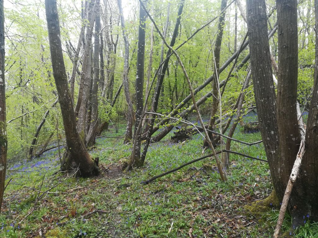 Land for saleDale Hill, Wadhurst Hurst Green TN5 photo 2