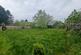 Additional image 42 of Kings Turning, Presteigne, LD8