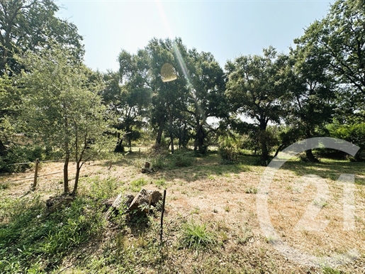 Additional image 20 of Cogolin (Var)