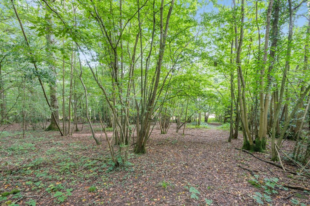 Additional image 10 of Land for saleHinksden Road, Hawkhurst, Cranbrook, Kent TN18