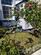 Additional image 11 of Golden Terrace, Dawlish, EX7
