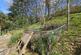 Additional image 19 of Ludlow Road, Church Stretton SY6