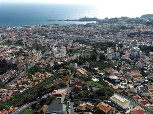 Additional image 13 of Imaculado Coração De Maria (Funchal)