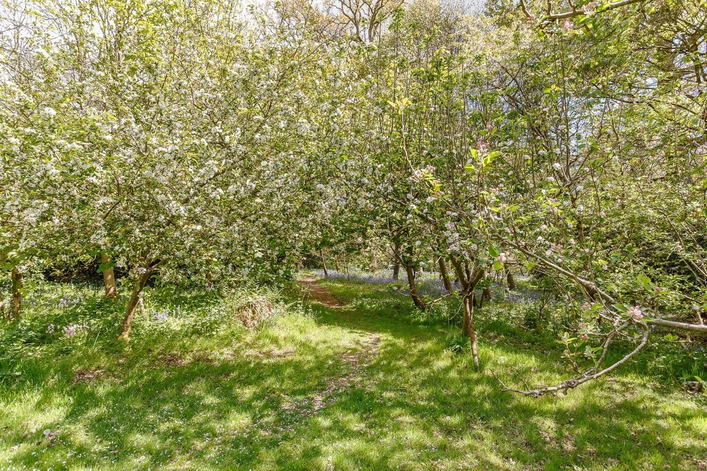 Additional image 22 of 4 bed detached house for saleCreedy Park, Crediton, Devon EX17