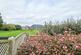 Additional image 15 of Churchill Road, Church Stretton SY6