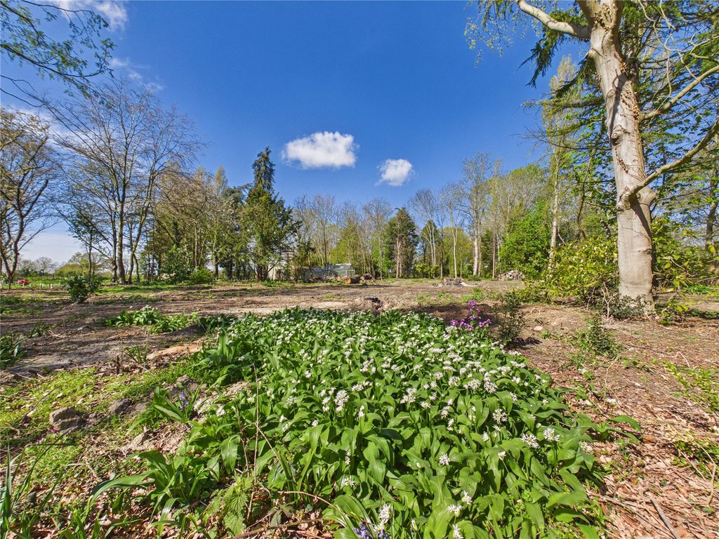 Additional image 3 of Land for saleWhitehall Lane, Thorpe-Le-Soken, Clacton-On-Sea, Essex CO16