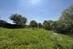 Additional image 22 of Burnhams Lane, Near Corfe Castle BH20