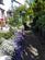 Additional image 9 of Golden Terrace, Dawlish, EX7