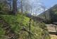 Additional image 18 of Ludlow Road, Church Stretton SY6