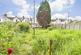 Additional image 14 of Christchurch Road, Ashford, Kent