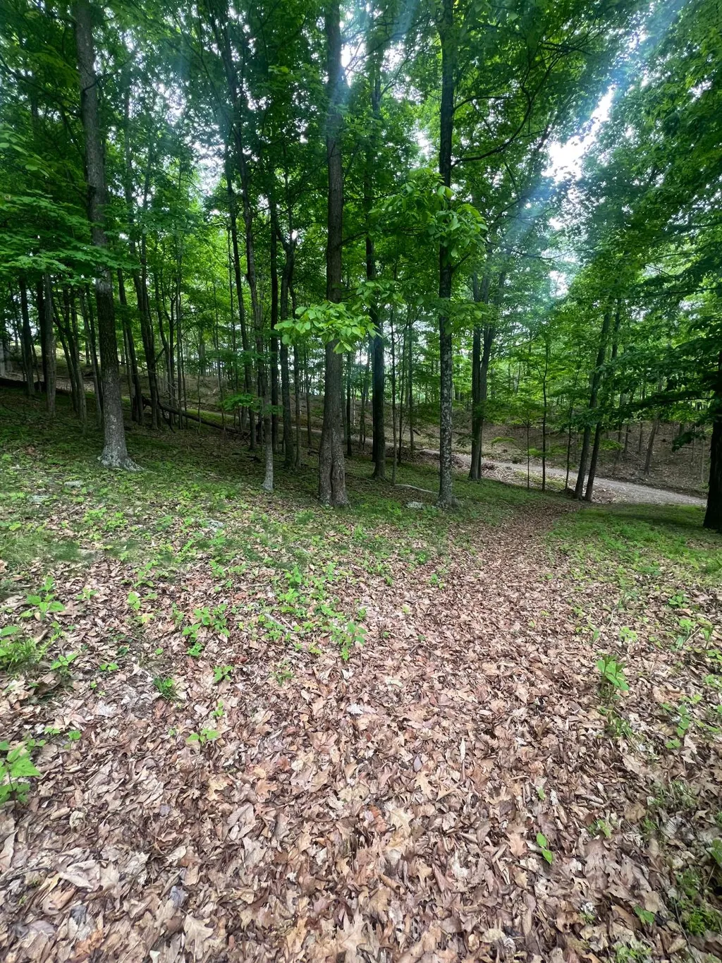 Edgar Lane, Upper Tract, WV 26866 photo 3
