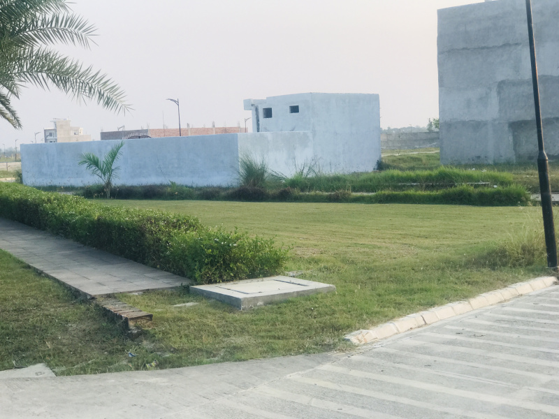 Sultanpur Road, Lucknow photo 3