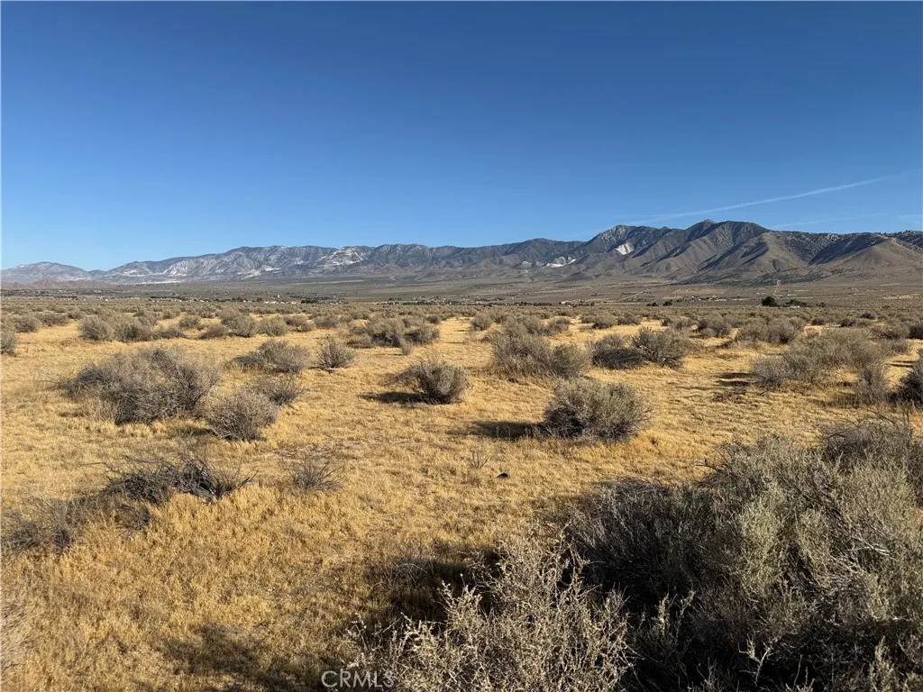 Lucerne Valley, Lucerne Valley, CA 92356 photo 3