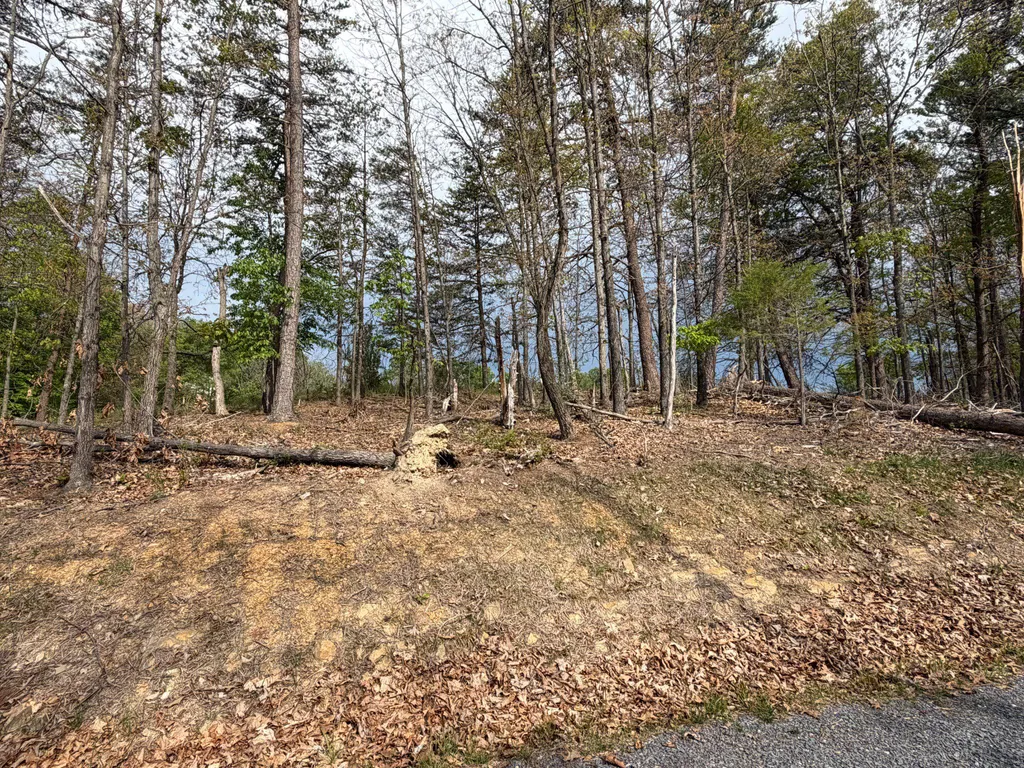 Lot 1 Crested Mountain Lane, Cross Junction, VA 22625