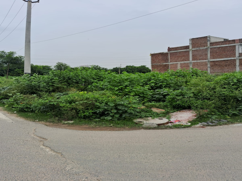 Sector 15, Faridabad