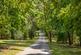 Additional image 5 of Frensham Vale, Lower Bourne, Farnham, Surrey, GU10.