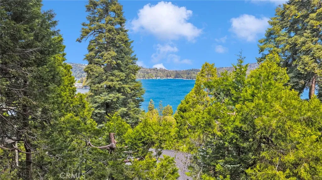 325 Mittry, Lake Arrowhead, CA 92352 photo 3
