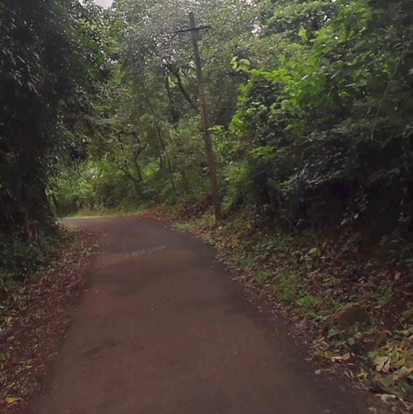 Mandrem, North Goa, Goa
