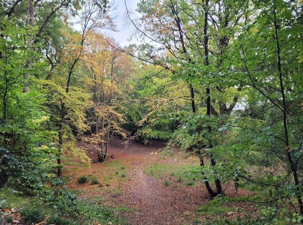 Additional image 6 of Land for salePowder Mill Lane, Tunbridge Wells TN4
