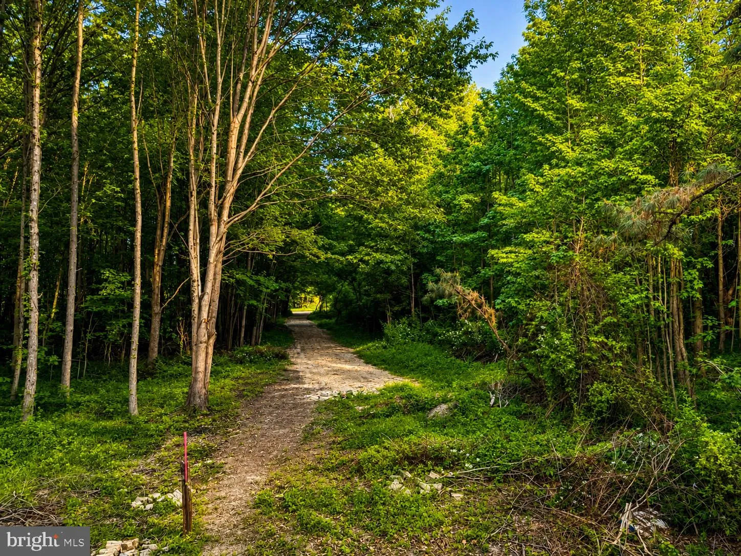 Additional image 12 of Sandy Bottom Road, Chestertown, MD 21620