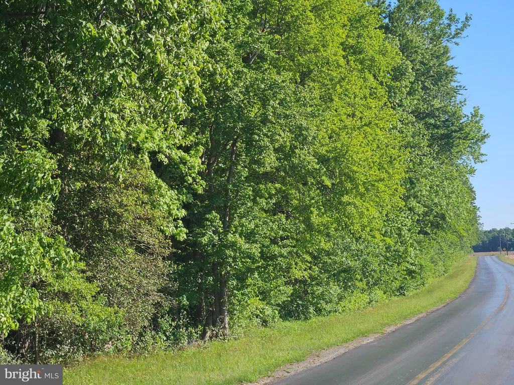Lot 1 E Sunset Avenue, Greensboro, MD 21639