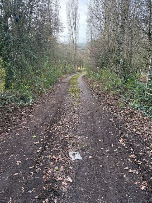 Additional image 6 of Land for saleMillhayes Farm, Hemyock, Cullompton EX15