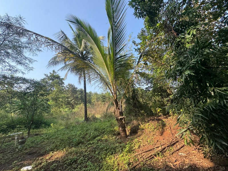 Murbad, Thane