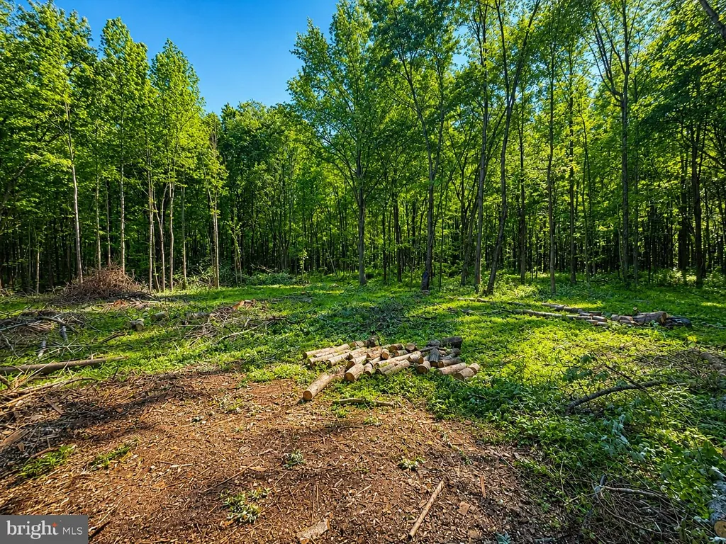Additional image 6 of Sandy Bottom Road, Chestertown, MD 21620