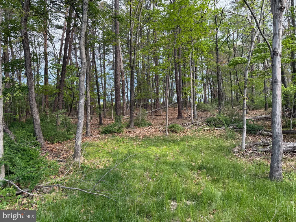 Lot 2 Crested Mountain Lane, Cross Junction, VA 22625