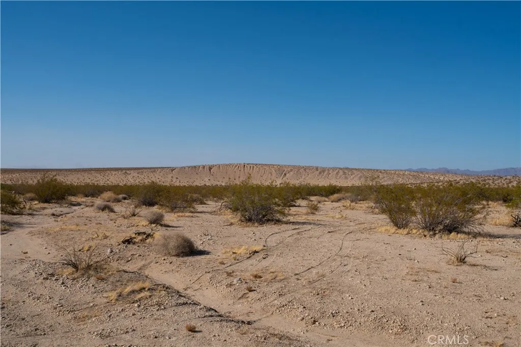Near Pampas, 29 Palms, CA 92277