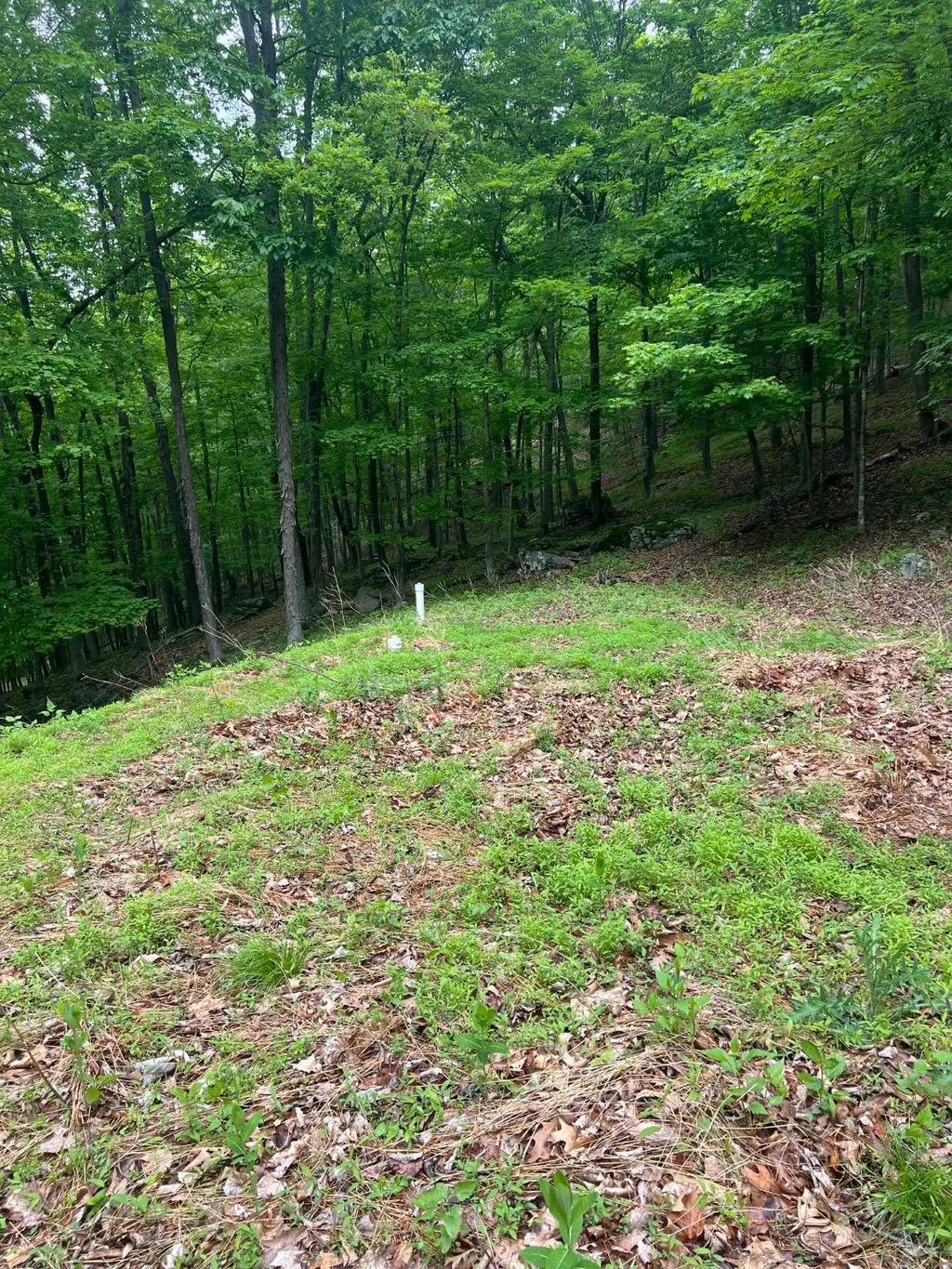 Edgar Lane, Upper Tract, WV 26866 photo 4