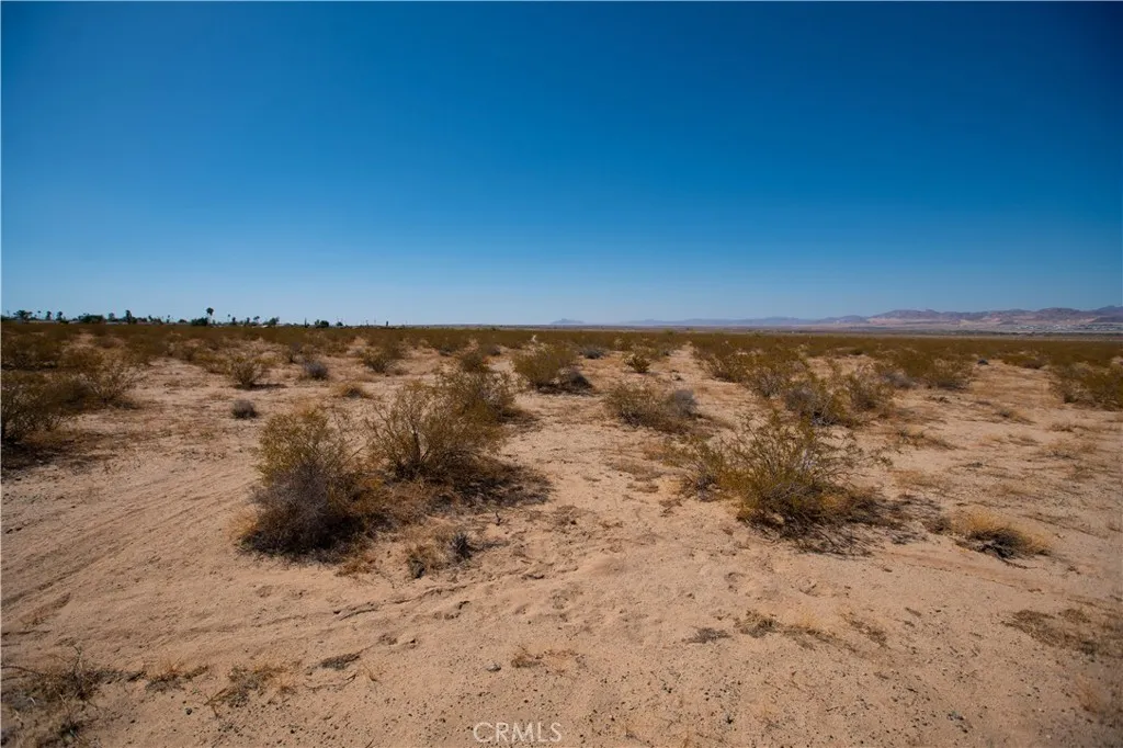Barnes, 29 Palms, CA 92277