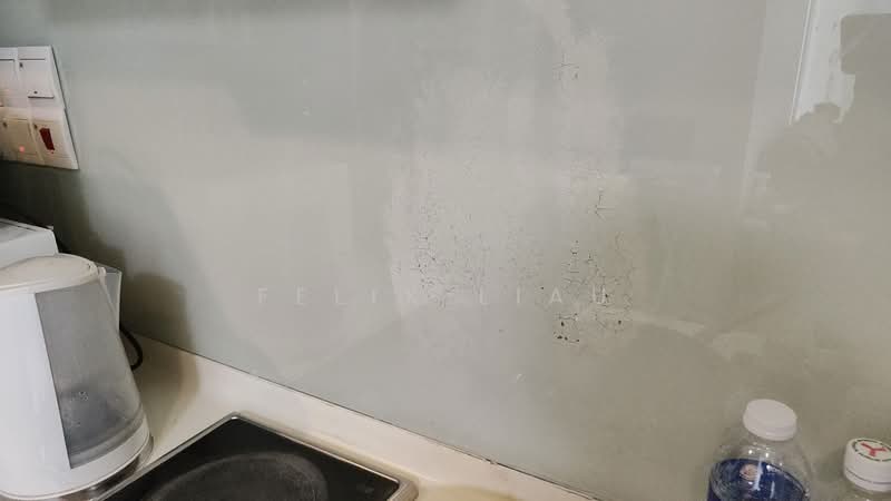 10 Fernvale Street photo 2
