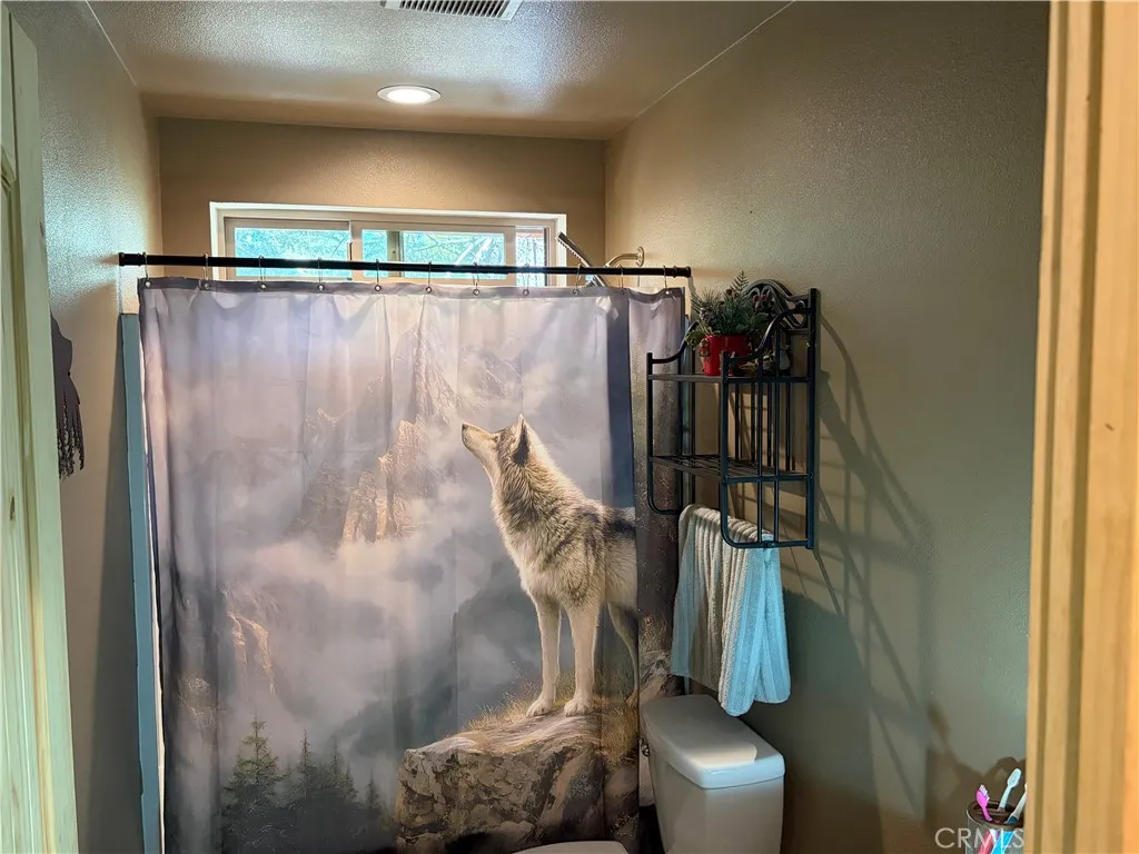 Additional image 95 of 5975 Pine Avenue, Angelus Oaks, CA 92305