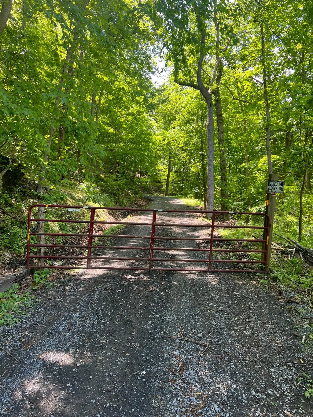 Edgar Lane, Upper Tract, WV 26866