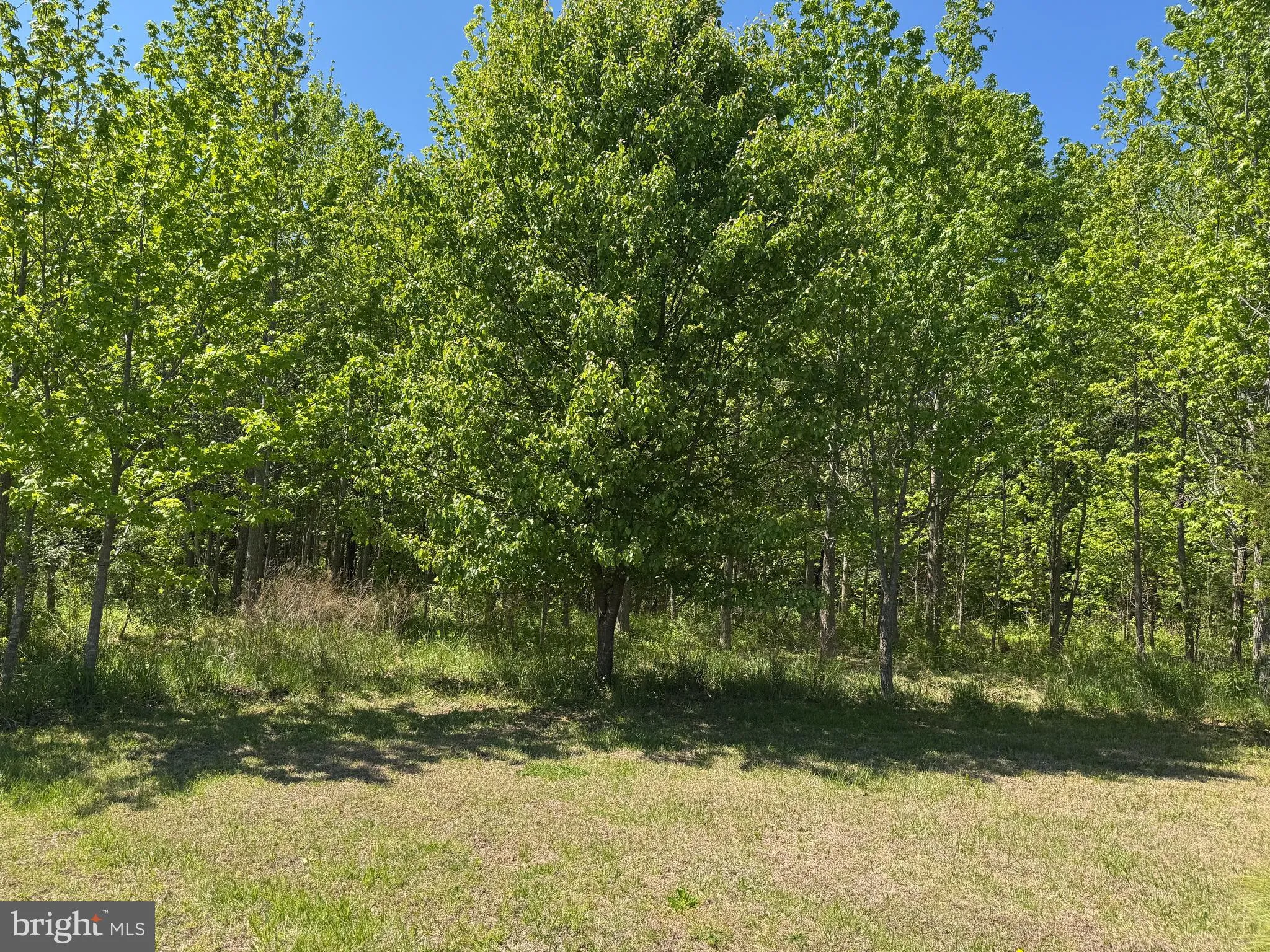 Additional image 9 of 1913 Swan Way Lane, King George, VA 22485