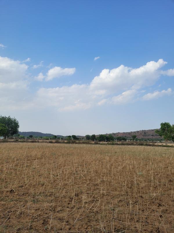 Pinan, Alwar photo 3